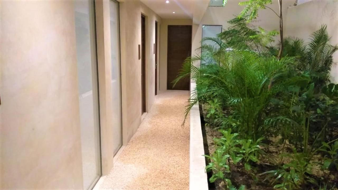 Hotel Taan' Tulum Exteriér fotografie